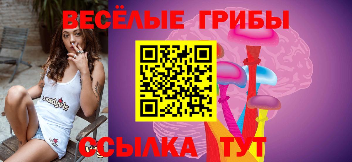 Псилоцибиновые грибы прущие грибы  Вход с VPN  Туймазы 