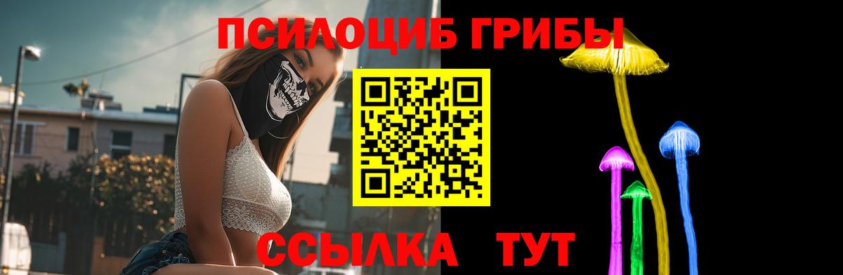 Псилоцибиновые грибы Psilocybine cubensis Туймазы